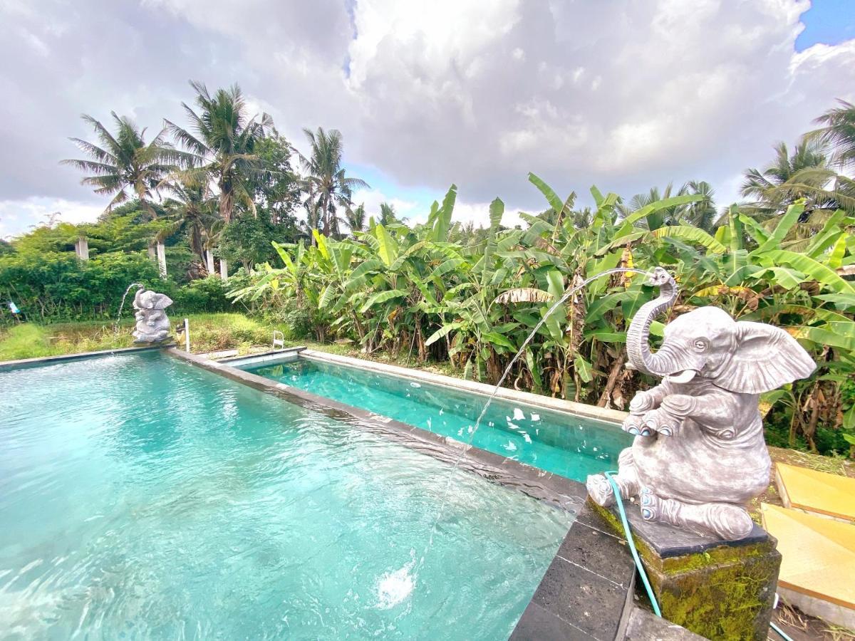 Ubud Rice Field House Luaran gambar