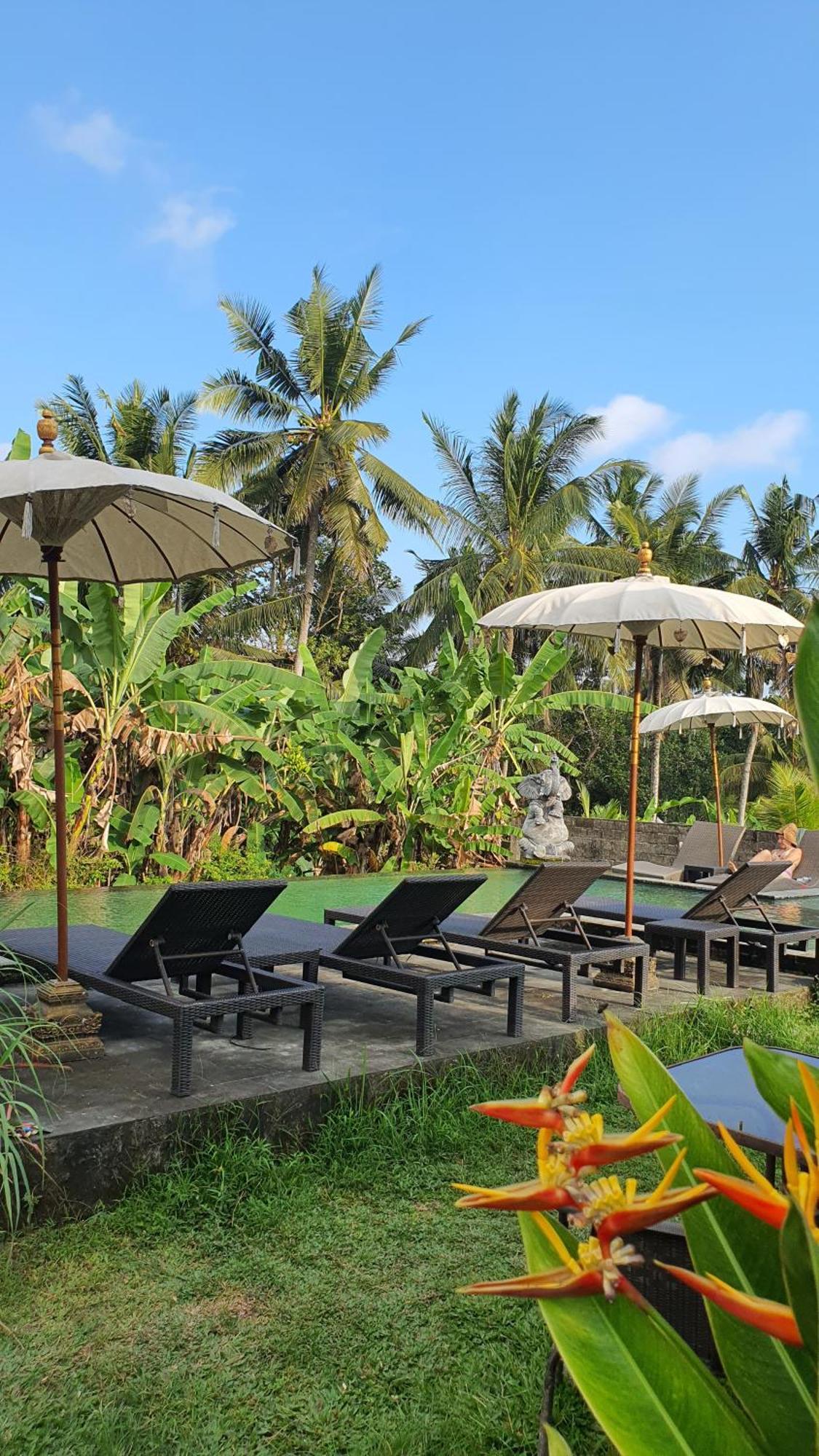 Ubud Rice Field House Luaran gambar